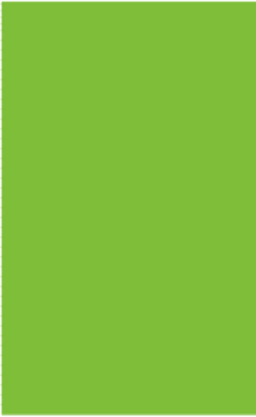 Fluorescent Green Rectangle Labels 3 x 6