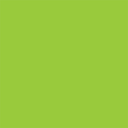 Fluorescent Green Square Labels 4 x 4