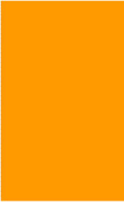 Fluorescent Orange Rectangle Labels 3 x 5