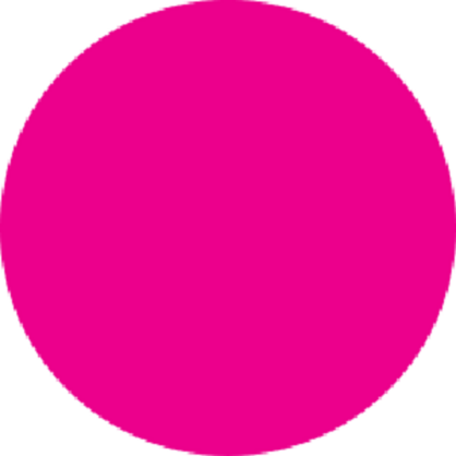 Fluorescent Pink Circle Labels 4 Diameter