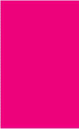 Fluorescent Pink Rectangle Labels 3 x 5
