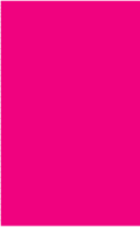 Fluorescent Pink Rectangle Labels 3 x 6