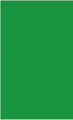 Green Rectangle Labels 3 x 5