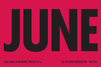 June Matte Paper Labels 2 x 3