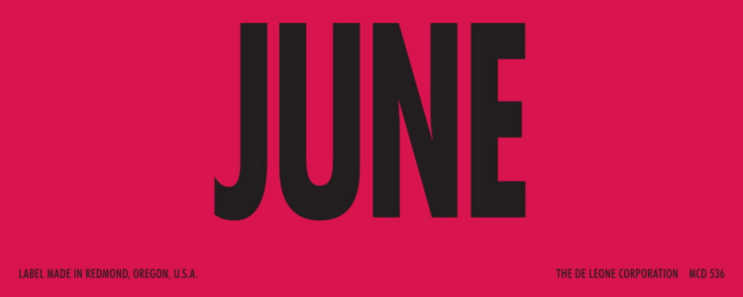 June Matte Paper Labels 2 x 5