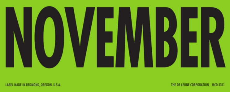 November Matte Paper Labels 2 x 5