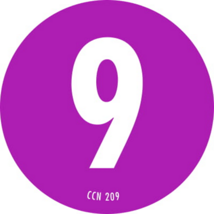 Number 9 Circle 2 Diameter