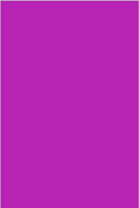 Purple Rectangle Labels 2.5 x 4