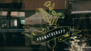 SS MultiColor Business Decals Gallery Image 2